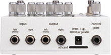 Load image into Gallery viewer, Empress Echosystem Dual-Engine Delay NEW