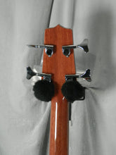 Load image into Gallery viewer, Takamine CB30CE-NAT Natural Acoustic Electric Bass NEW