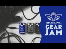 Load and play video in Gallery viewer, Mad Professor Deep Blue Delay NEW