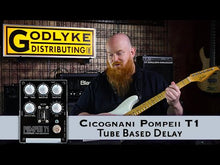 Load and play video in Gallery viewer, Cicognani Pompeii T1 Delay