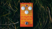 Load image into Gallery viewer, Mad Professor Sweet Honey Overdrive Handwired NEW