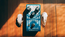 Load image into Gallery viewer, EarthQuaker Devices Aqueduct Vibrato guitar effect pedal