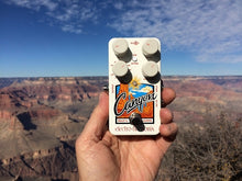 Load and play video in Gallery viewer, Electro-Harmonix Canyon Delay and Looper