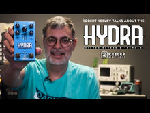 Load and play video in Gallery viewer, Keeley HYDRA Stereo Reverb & Tremolo