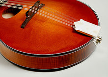 Load image into Gallery viewer, K&K Sound Mandolin Twin Internal