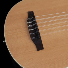 Load image into Gallery viewer, Godin Multi Oud Encore Nylon Natural SG with bag NEW Model # 037414 MultiOud
