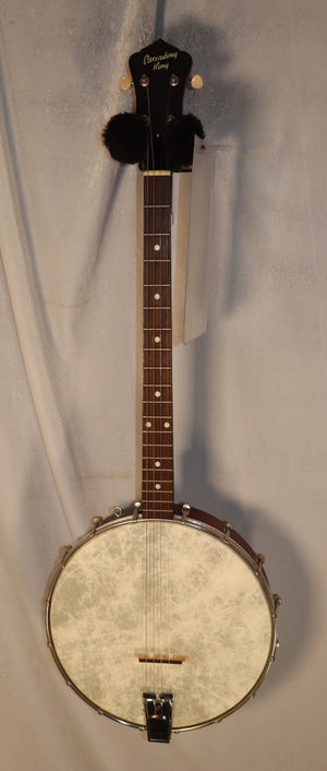 Recording King RKT-05 4-string Open Back Tenor Banjo used