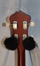 Load image into Gallery viewer, Recording King RKT-05 4-string Open Back Tenor Banjo used
