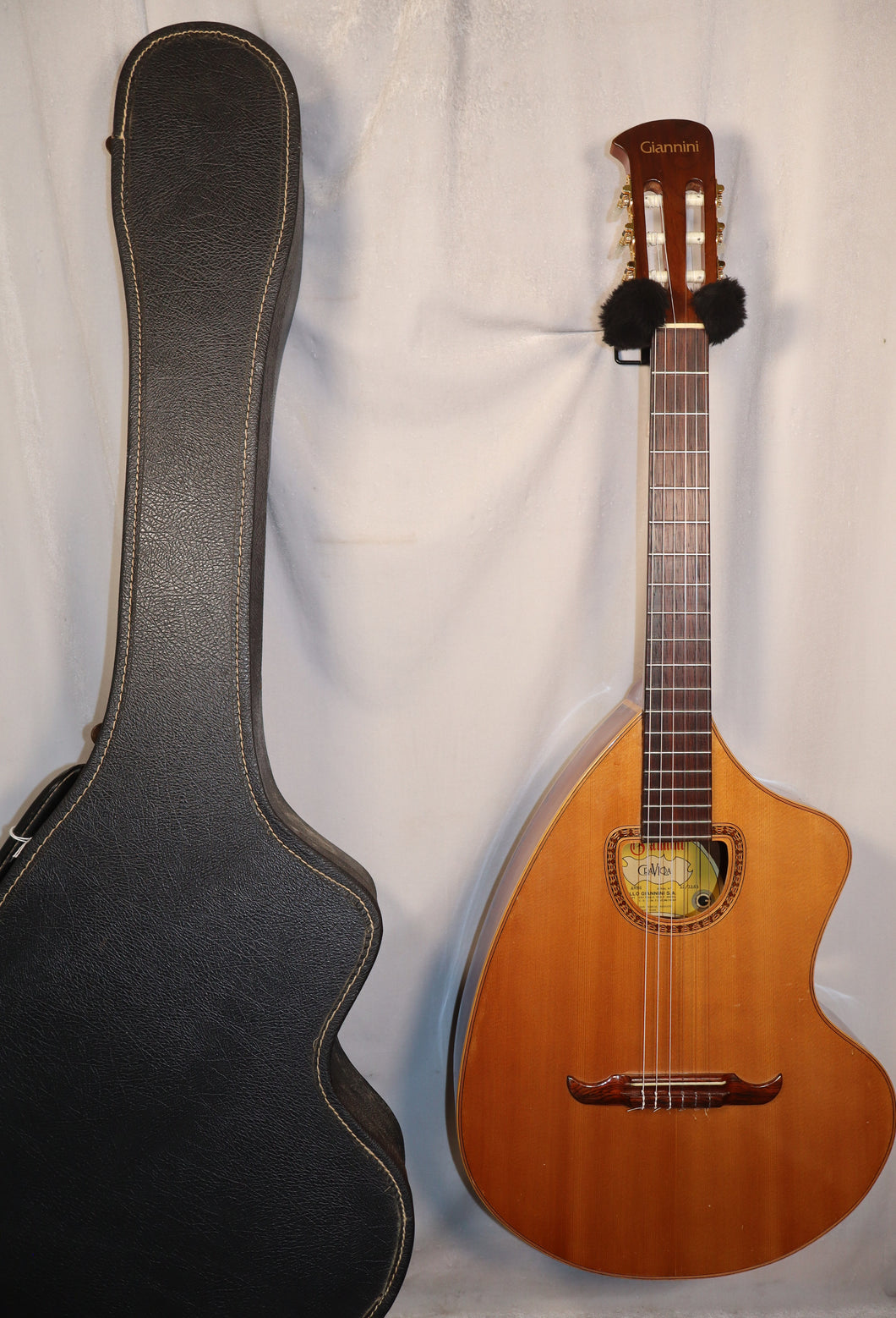Gianini Craviola AWN6 Nylon String Classical Acoustic Guitar with chipboard case Made in Brazil vintage