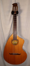 Load image into Gallery viewer, Gianini Craviola AWN6 Nylon String Classical Acoustic Guitar with chipboard case Made in Brazil vintage
