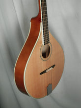 Load image into Gallery viewer, Trinity College TM-325 Standard Celtic Octave Mandolin with gig bag New
