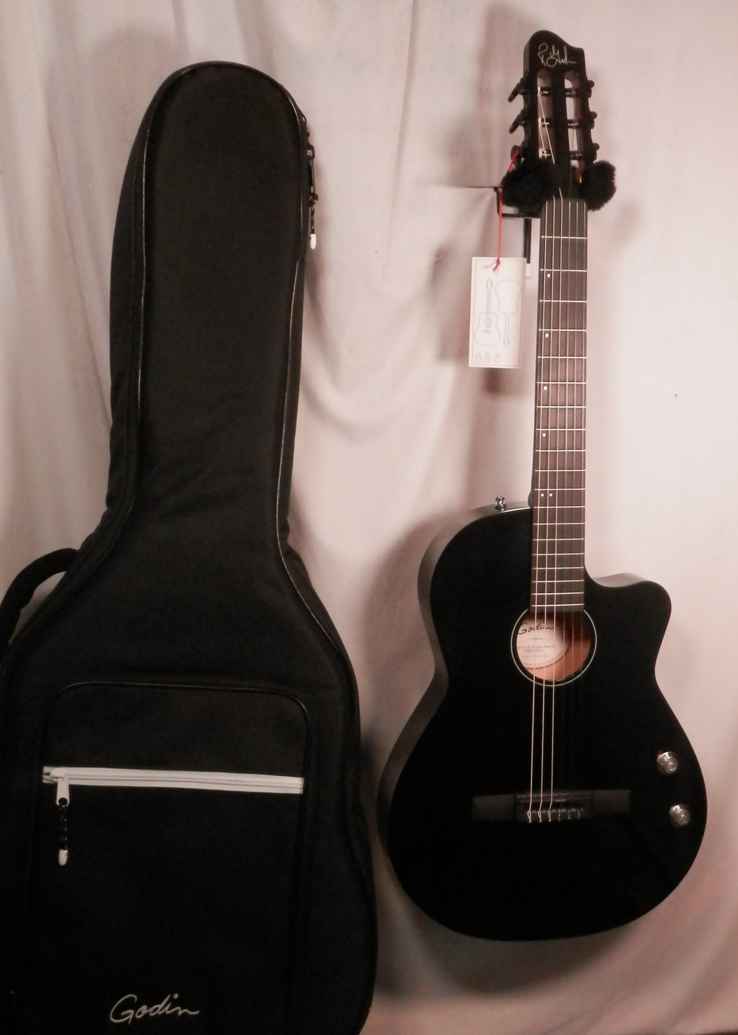 Godin 052851 Arena Pro Ltd CW Onyx Black EQ Cutaway Nylon Acoustic Electric Classical Guitar with gig bag NEW
