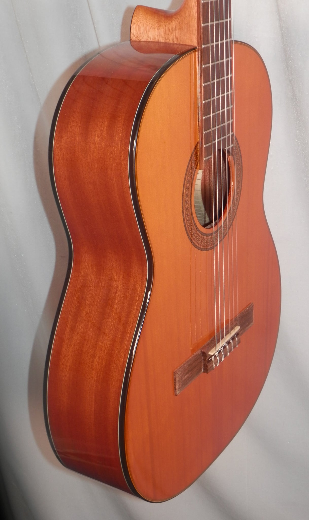 Takamine H8SS Classical Nylon String Acoustic Guitar with Hard Case