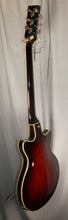 Load image into Gallery viewer, Dusenberg Joe Walsh Alliance Series Gold Burst Semi-Hollow electric guitar with case used
