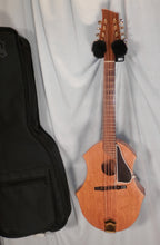 Load image into Gallery viewer, Dakota Acoustic Electric Mandola Finished with gig bag used Setup for Sale with new strings
