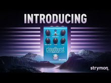 Load and play video in Gallery viewer, Strymon Cloudburst Reverb
