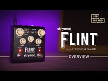 Load and play video in Gallery viewer, Strymon Flint V2 Tremolo and Reverb Tremolo/Vibrato
