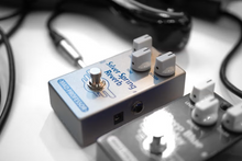 Load image into Gallery viewer, Mad Professor Silver Spring Reverb NEW
