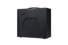 Load image into Gallery viewer, Supro Delta King 10 Black With Black Stripes with 10&quot; Speaker All Tube Tone
