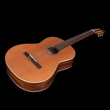 Load image into Gallery viewer, Godin 049646 Concert Nylon Classical acoustic guitar
