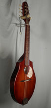 Load image into Gallery viewer, Seagull S8 Mandolin Burnt Umber with gig bag (Model # 041596)
