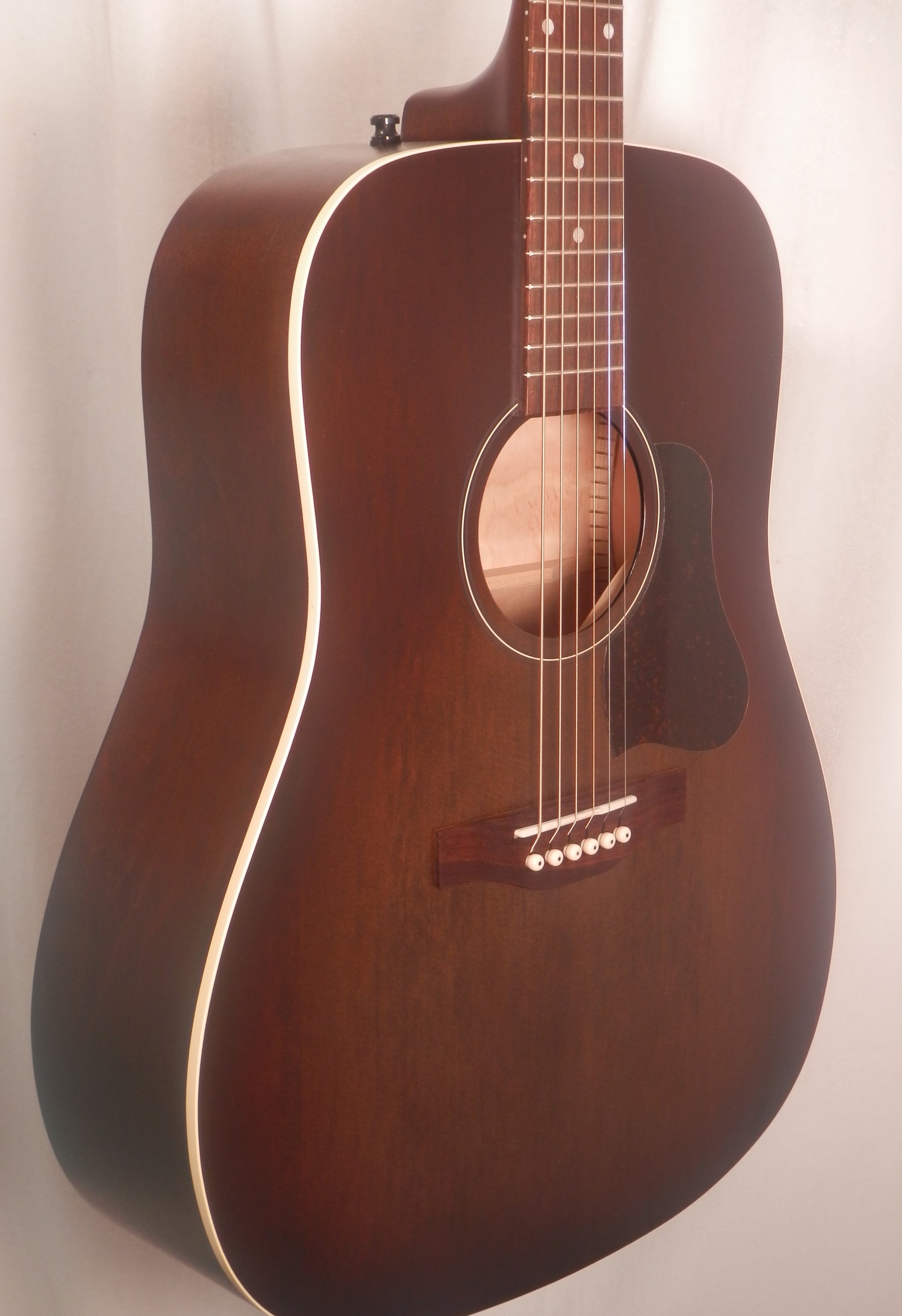 Western Gitarre - Art & newest Lutherie(Godin) - Dreadnought